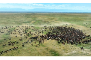 盛夏時節(jié) 在新疆昭蘇領(lǐng)略萬馬奔騰